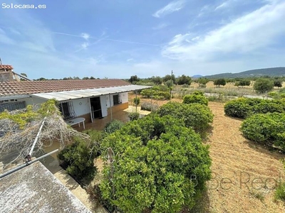 FINCA CON CASA EN SANTA MARÍA DEL CAMINO, ISLAS BALEARES.