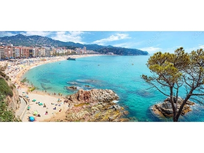 Piso en alquiler en Casc Antic - Barri dels Pescadors de 1 habitación con jardín y muebles