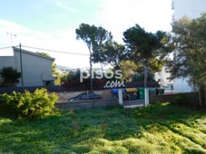 Casa en venta en Palmanova-Son Caliu