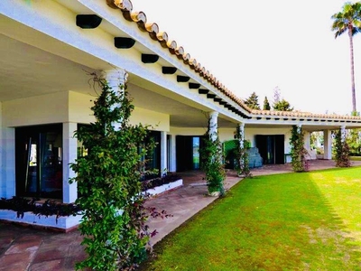 Alquiler Casa unifamiliar San Roque. Con terraza 400 m²
