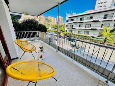 Alquiler Piso Benidorm. Piso de una habitación Primera planta con terraza