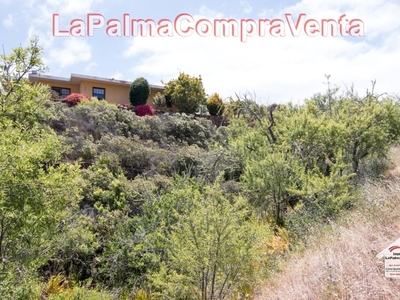 Terreno no urbanizable en venta en la El Pino