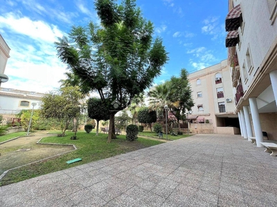 Venta Piso Jerez de la Frontera. Piso de dos habitaciones Planta baja con terraza