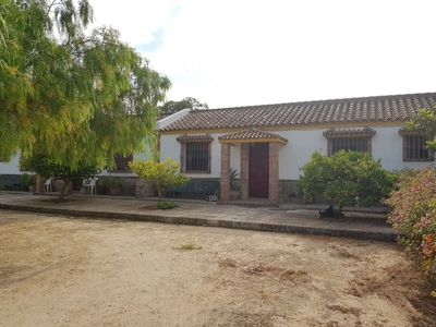 Finca/Casa Rural en venta en Benalup, Cádiz