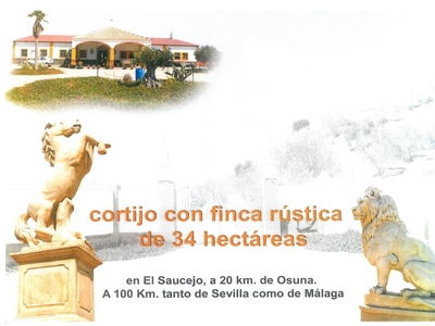 Finca/Casa Rural en venta en El Saucejo, Sevilla