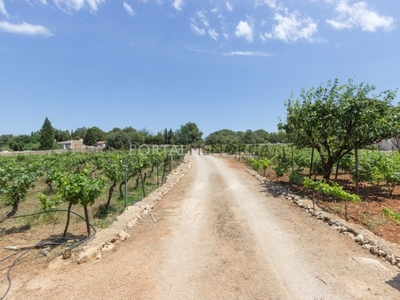 Finca/Casa Rural en venta en San Luis / Sant Lluís, Menorca