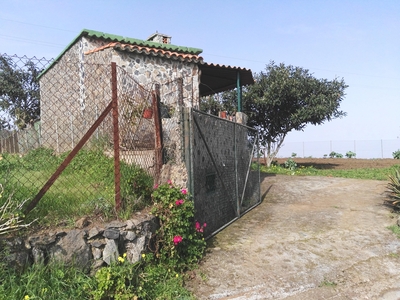 Terreno Rústico en Venta en Icod de Los Vinos Venta La Vega El Amparo Cueva del Viento