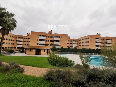 Alquiler de piso con piscina en Centro, Casco Antiguo (Cáceres)