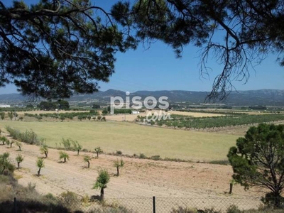 Finca rústica en venta en Calle Partida Hoya de Ibi