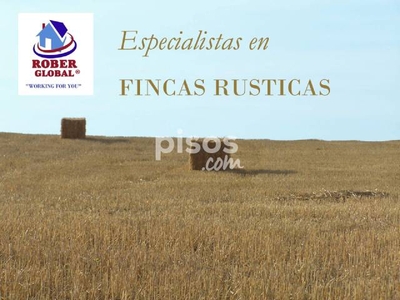 Finca rústica en venta en Fresno Alhandiga en Fresno Alhándiga por 100.000 €