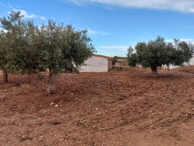 Casa en venta en Fuente Álamo