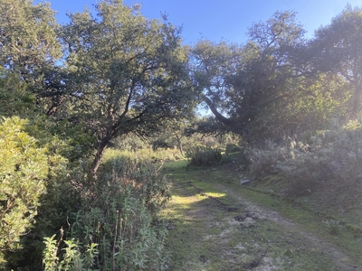 Finca/Casa Rural en venta en Jimena de la Frontera, Cádiz