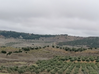 Terreno no urbanizable en venta en la camino valdetocon' Chinchón