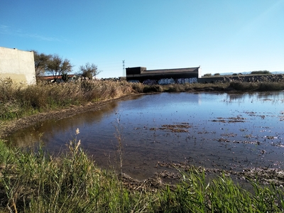 Terreno en venta en Pinedo Venta Alfafar