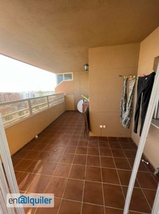 urbanización en el barrio del real con piscina, jardín, pista de deporte, de 3 dormitorios amplios con armarios y exteriores , 2 baños, cocina amplia, salón grande con su terraza de 15 m2 a nivel de la vivienda, plaza de garaje