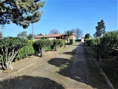 Chalet en Argamasilla de Calatrava