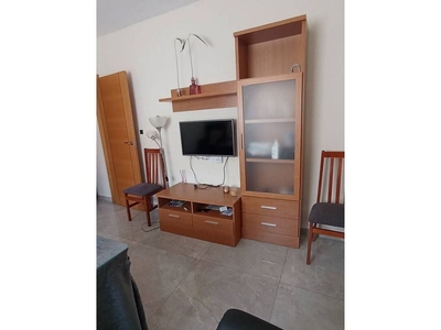 Alquiler de piso en calle Doctor Benedicto de 1 habitación con muebles y aire acondicionado