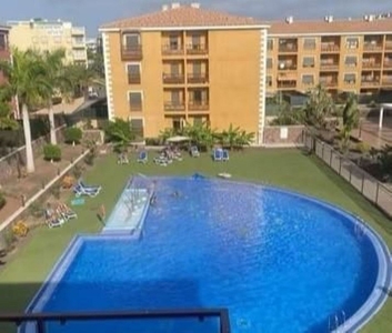 Alquiler de piso en Palm - Mar de 1 habitación con terraza y piscina