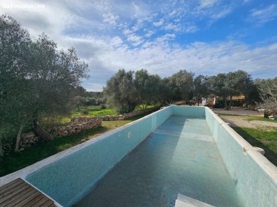 ¡Idílica finca con encantadora casa en alquiler, en una inmejorable zona!