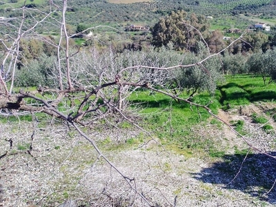 Finca/Casa Rural en venta en Coín, Málaga