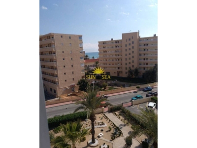 Torrevieja apartamento para alquilar