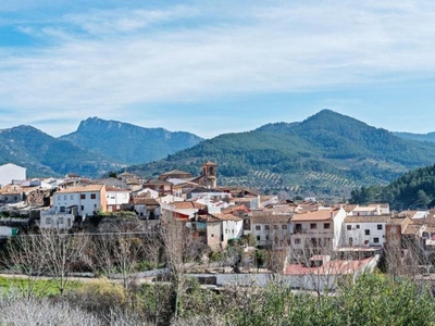 Alquiler Integro en Albacete