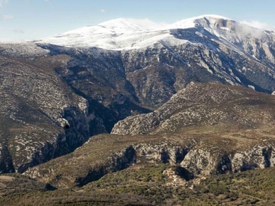 Alquiler Integro en Huesca