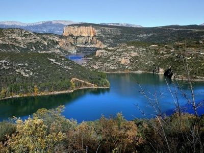 Alquiler Integro en Lleida