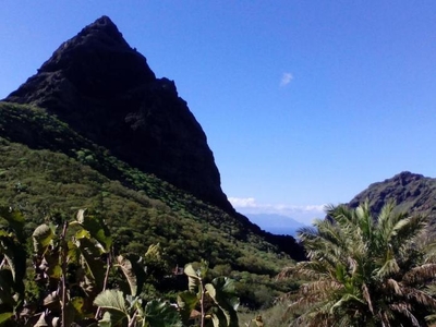 Alquiler Integro en Tenerife