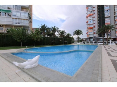 Apartamento en Alquiler en Alicante Alicante