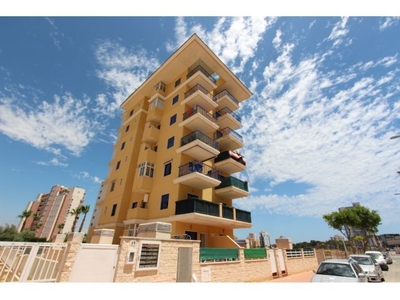 Apartamento en Venta en Guardamar del Segura, Alicante