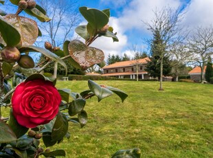 Finca/Casa Rural en venta en As Pontes de García Rodríguez, A Coruña