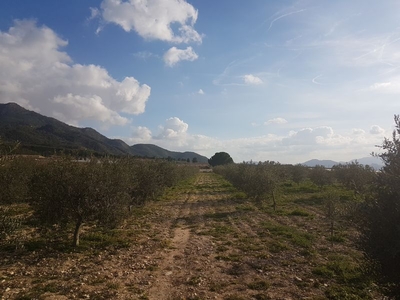 CASA CON TERRENO EN ABARÁN