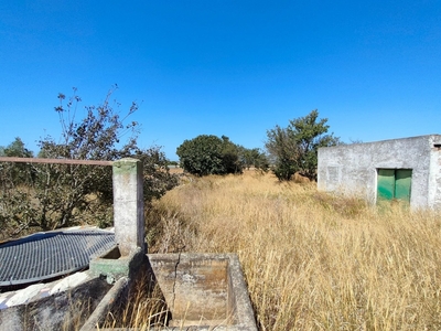 FINCA EN EL MARQUESADO