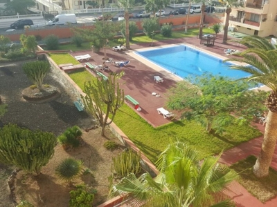 Los cristianos Piso 1 habitacion a 200 metros del mar en urb de calidad