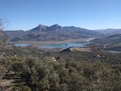 SE VENDE FINCA RUSTICA CON OLIVAR EN ZAHARA DE LA SIERRA