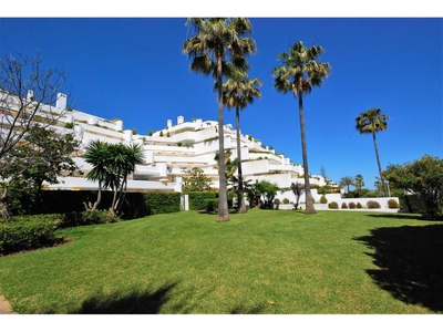Alquiler de piso con piscina y terraza en Guadalmina (Marbella (Municipio))