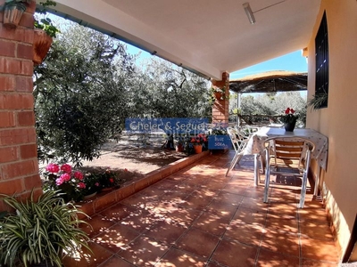 Casa tiny house autosuficiente en medio de oliveras en Algimia de Alfara