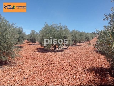 Finca rústica en venta en Carretera Santa Cruz