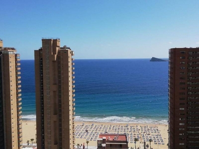 Venta Piso Benidorm. Piso de una habitación Buen estado 24