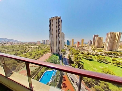 Venta Piso Benidorm. Piso de una habitación Buen estado décima planta con terraza