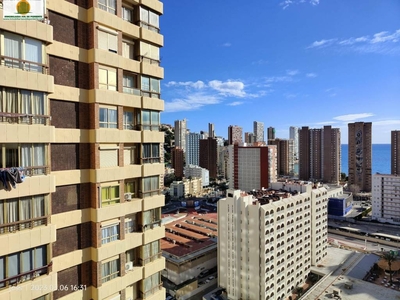 Venta Piso Benidorm. Piso de una habitación Con terraza