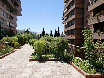 Venta Piso en Avenida de la Divina Pastora 9. Granada