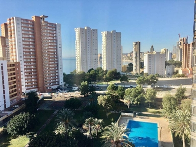 Venta Piso en Calle Ricardo Bayona. Benidorm