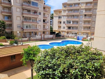 Venta Piso en Diego Ramirez 277 Torreviejaa. Torrevieja