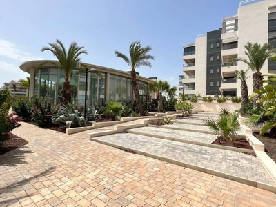 Venta Piso Orihuela. Piso de dos habitaciones Primera planta con terraza