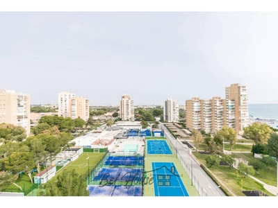 Venta Piso Orihuela. Piso de una habitación en Calle Gabriel y Galan. Buen estado décima planta