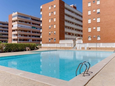 Venta Piso Torrevieja. Piso de dos habitaciones en Arrecife 17. Segunda planta con terraza