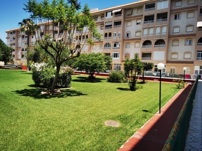 Venta Piso Torrevieja. Piso de dos habitaciones en Calle Santander 39. Segunda planta con terraza