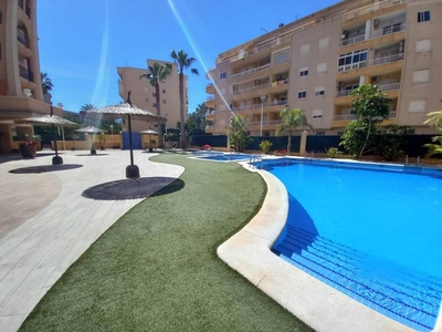 Venta Piso Torrevieja. Piso de dos habitaciones Octava planta con terraza